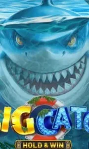 A Big Catch - Hold & Win